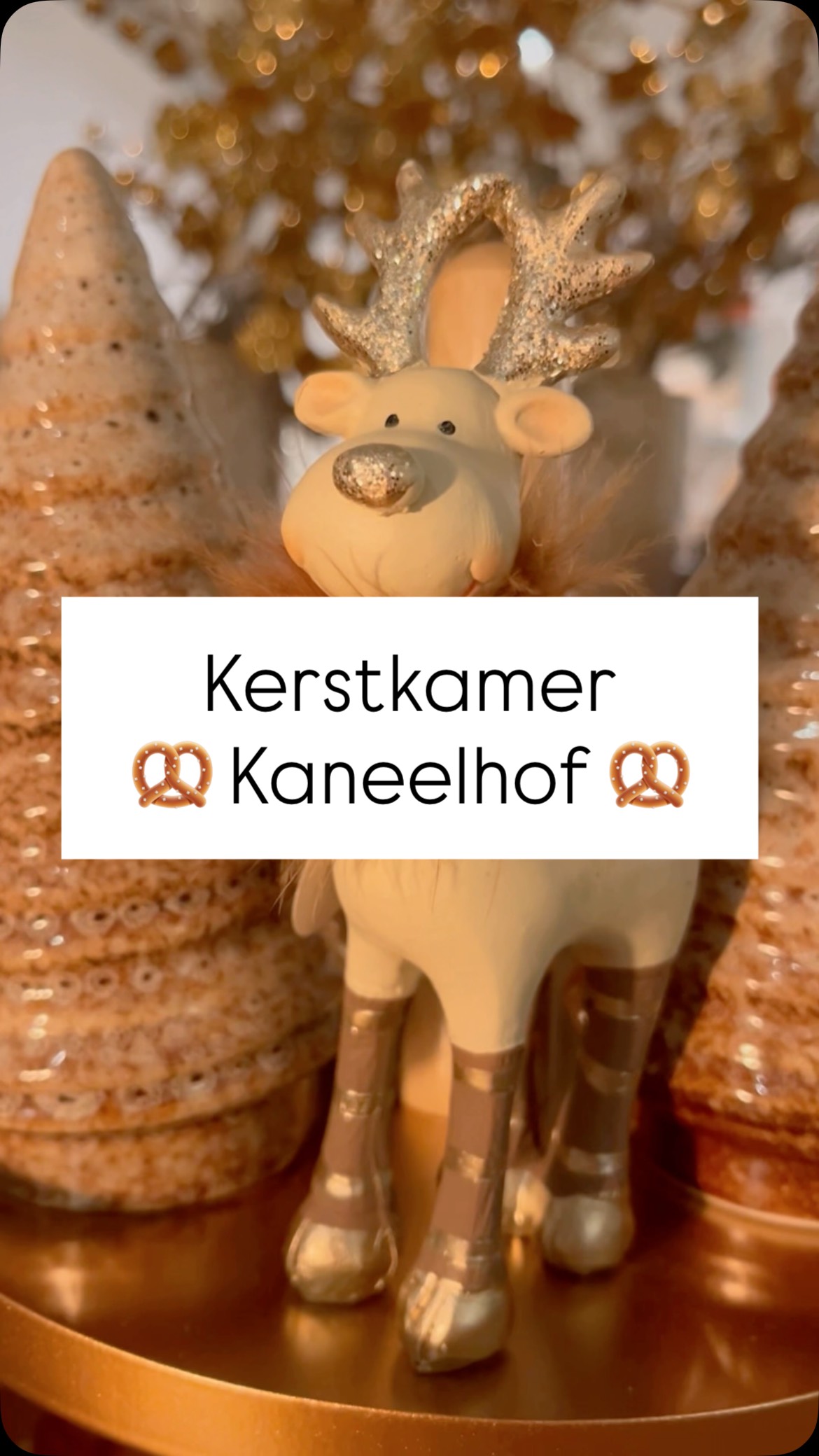 🔓De vijfde kamer is ontgrendeld!
Welkom in het Kaneelhof, waar je kan aarden in warme kerstgezelligheid! 🥨
#houseandgardenwetteren #kerstinspiratie #interieur #cozyhome #winter