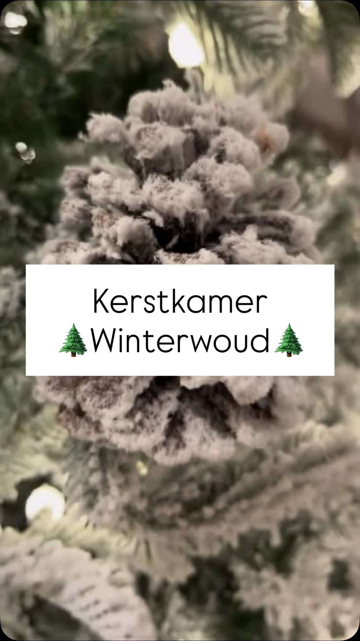 De eerste kamer is ontgrendeld! 
Welkom in kamer Winterwoud, waar je de rust van buiten binnenshuis haalt. 🌲
#houseandgardenwetteren #kerst #decoratie #winter #interieur